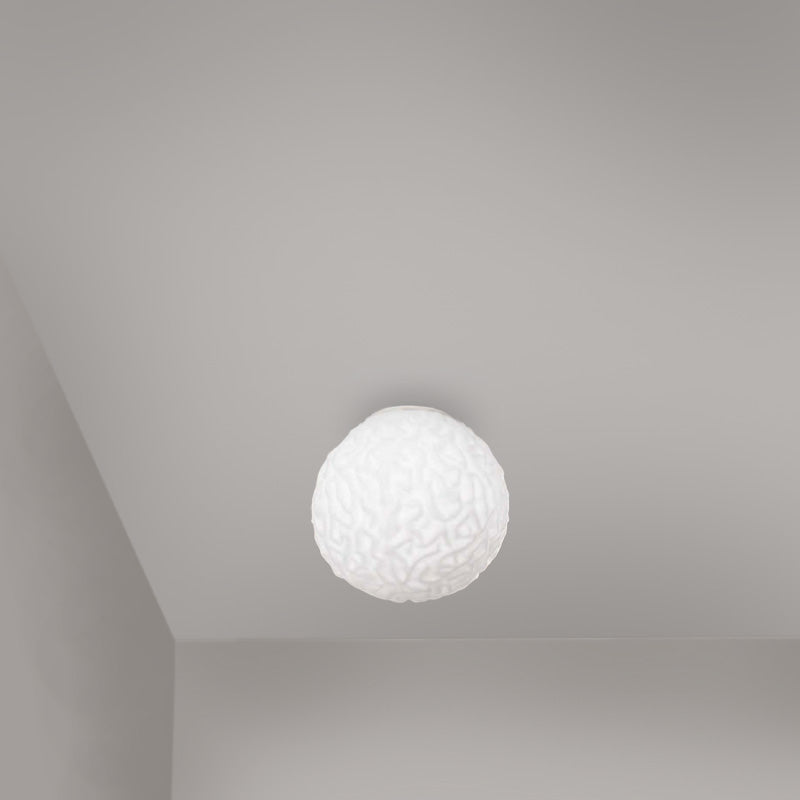 Emisfero Wall/Ceiling by ZANEEN design