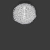 Salsola Ceiling by ZANEEN design