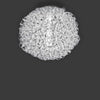 Salsola Ceiling by ZANEEN design